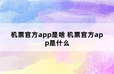 机票官方app是啥 机票官方app是什么